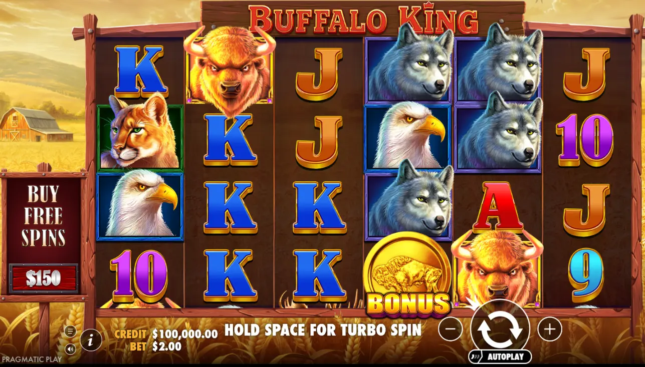 Buffalo King artwork